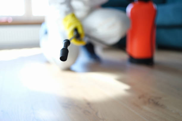Best Mold Odor Removal Services  in Ruch, OR