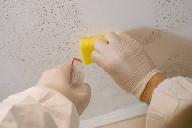 Best Indoor Air Quality Assessment  in Ruch, OR